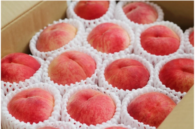fruit